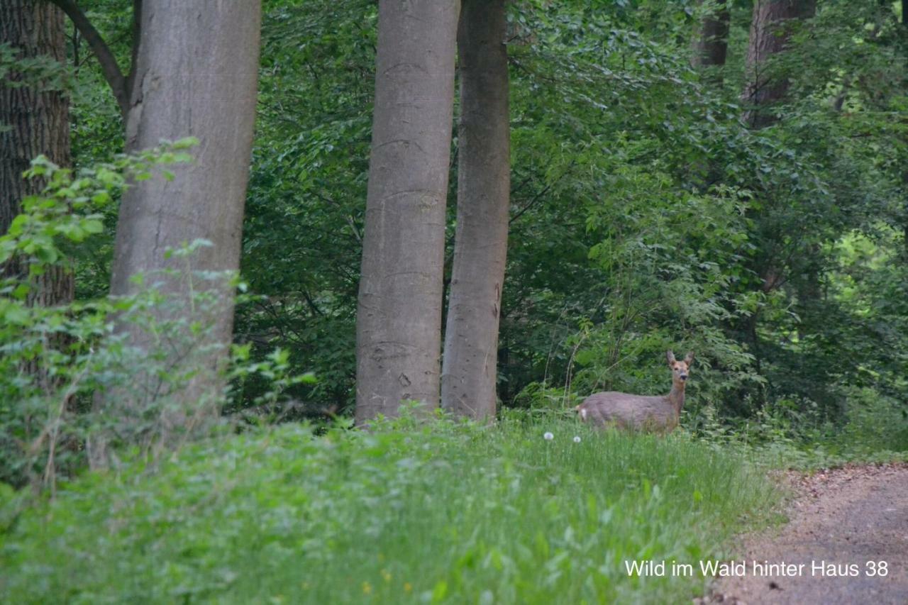 Huis 38 Seepark Kirchheim Kirchheim unter Teck Dış mekan fotoğraf